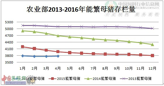 農(nóng)業(yè)部2013-2016年能繁母豬存欄量.jpg